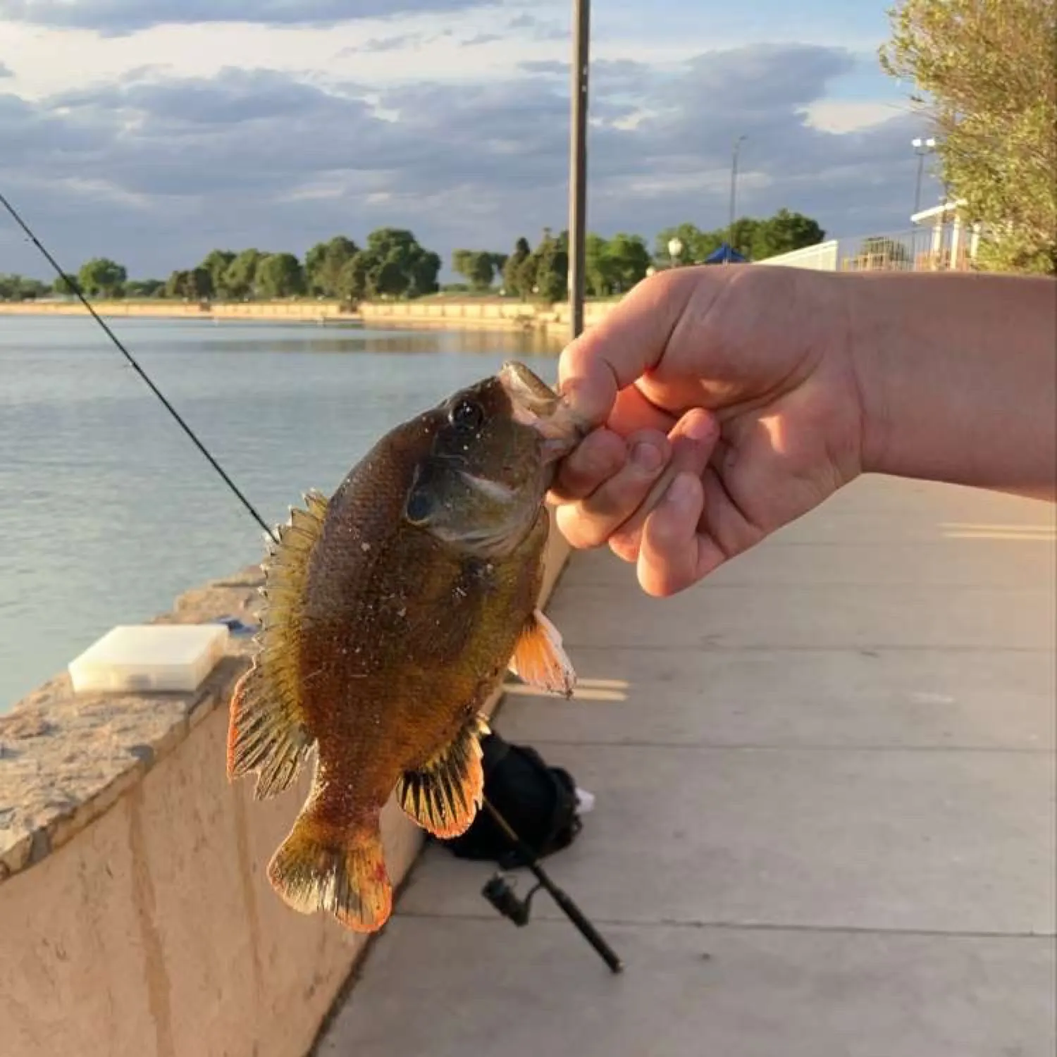 catch