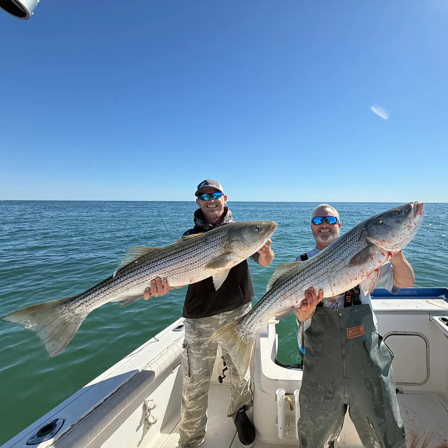 Fish caught on Fishbrain