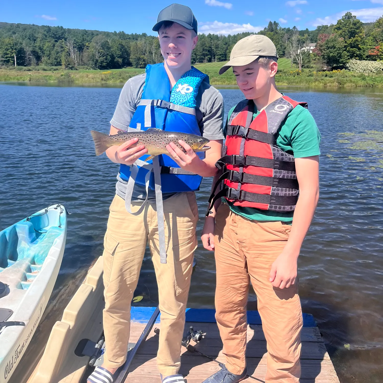 Brown trout caught on Fishbrain