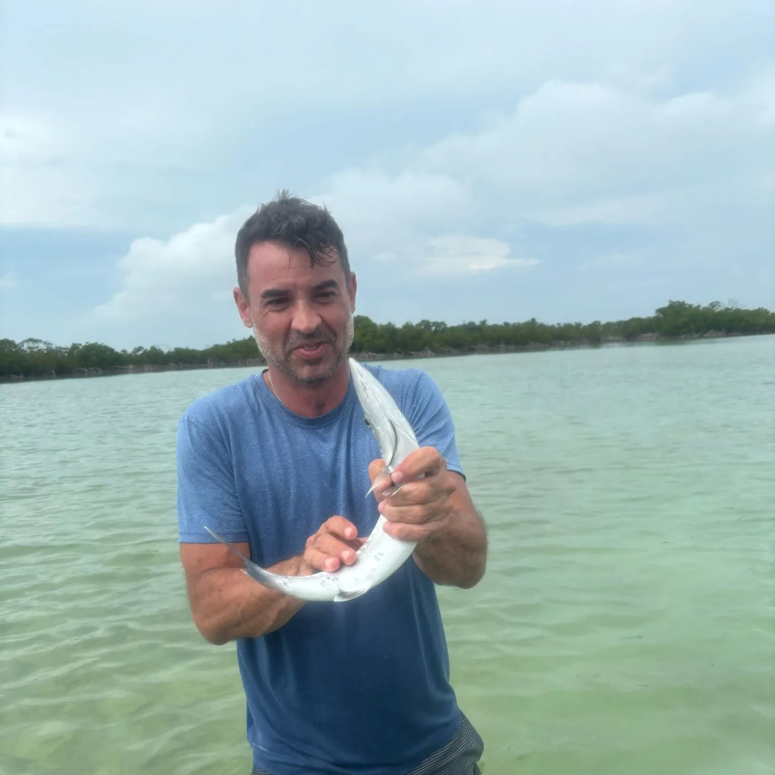 The most recent Southern sennet catches on Fishbrain