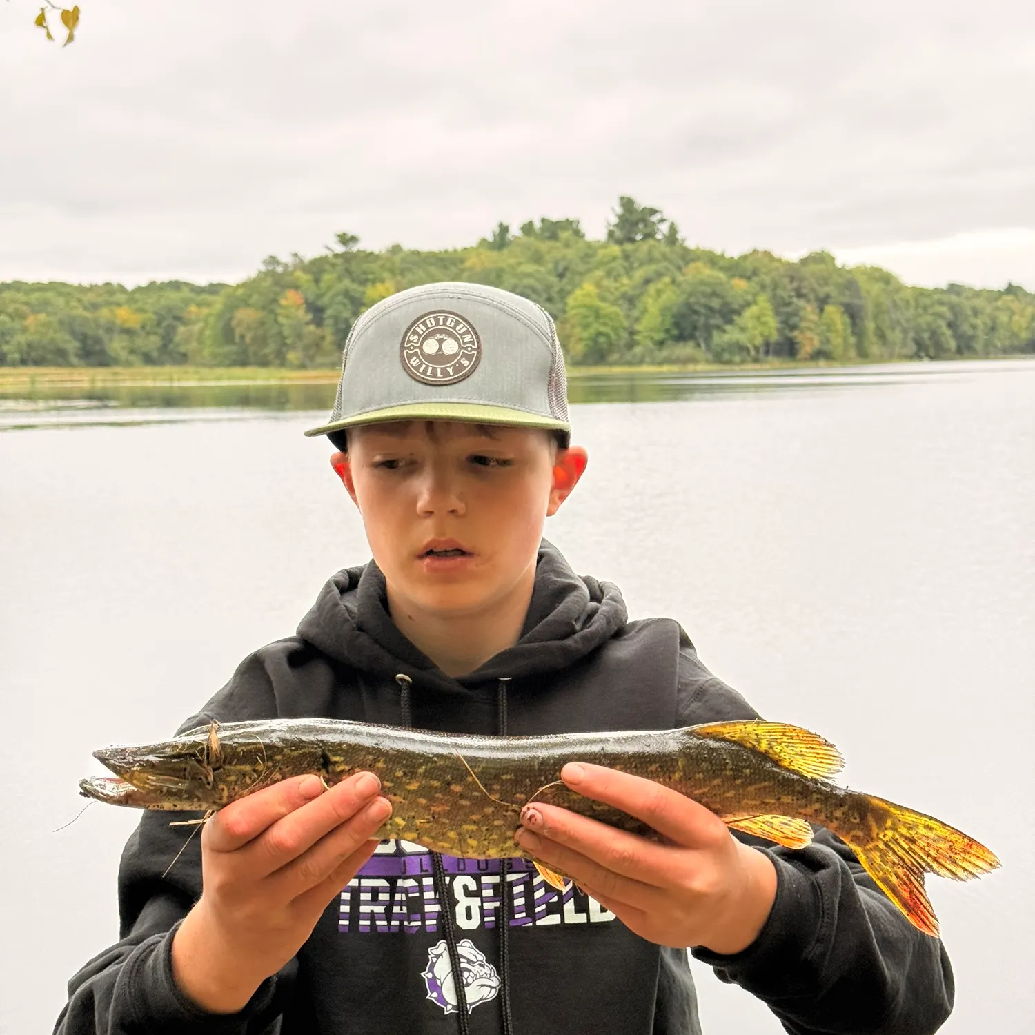 Northern pike caught on Fishbrain