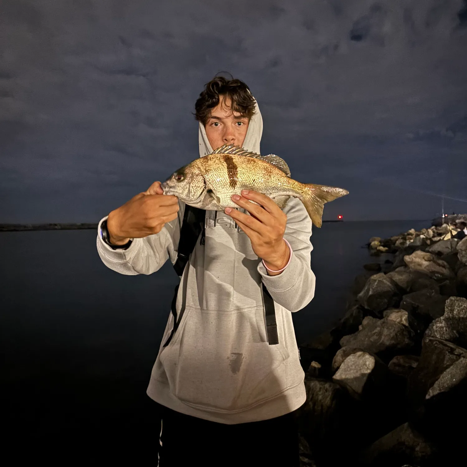 Sargo caught on Fishbrain