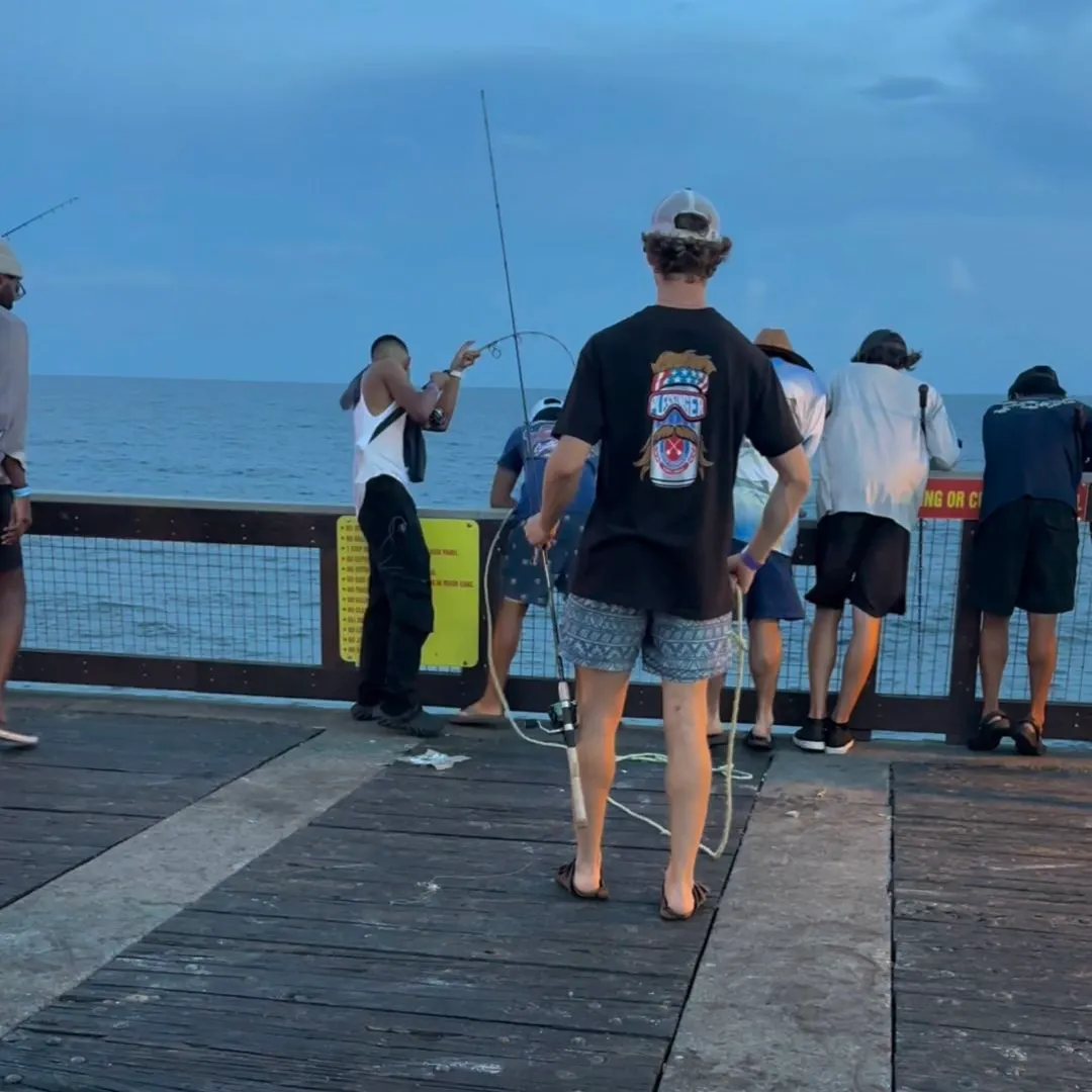 most liked catch image