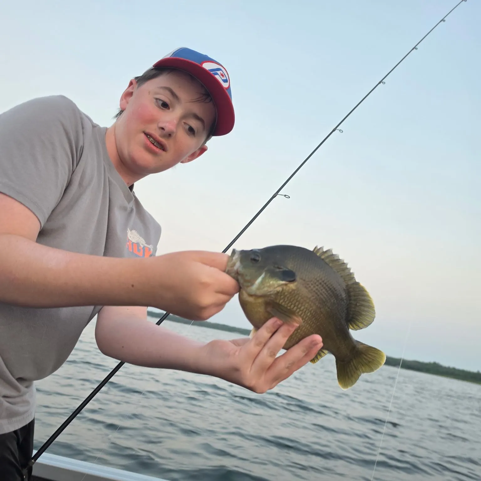 Green sunfish caught on Fishbrain