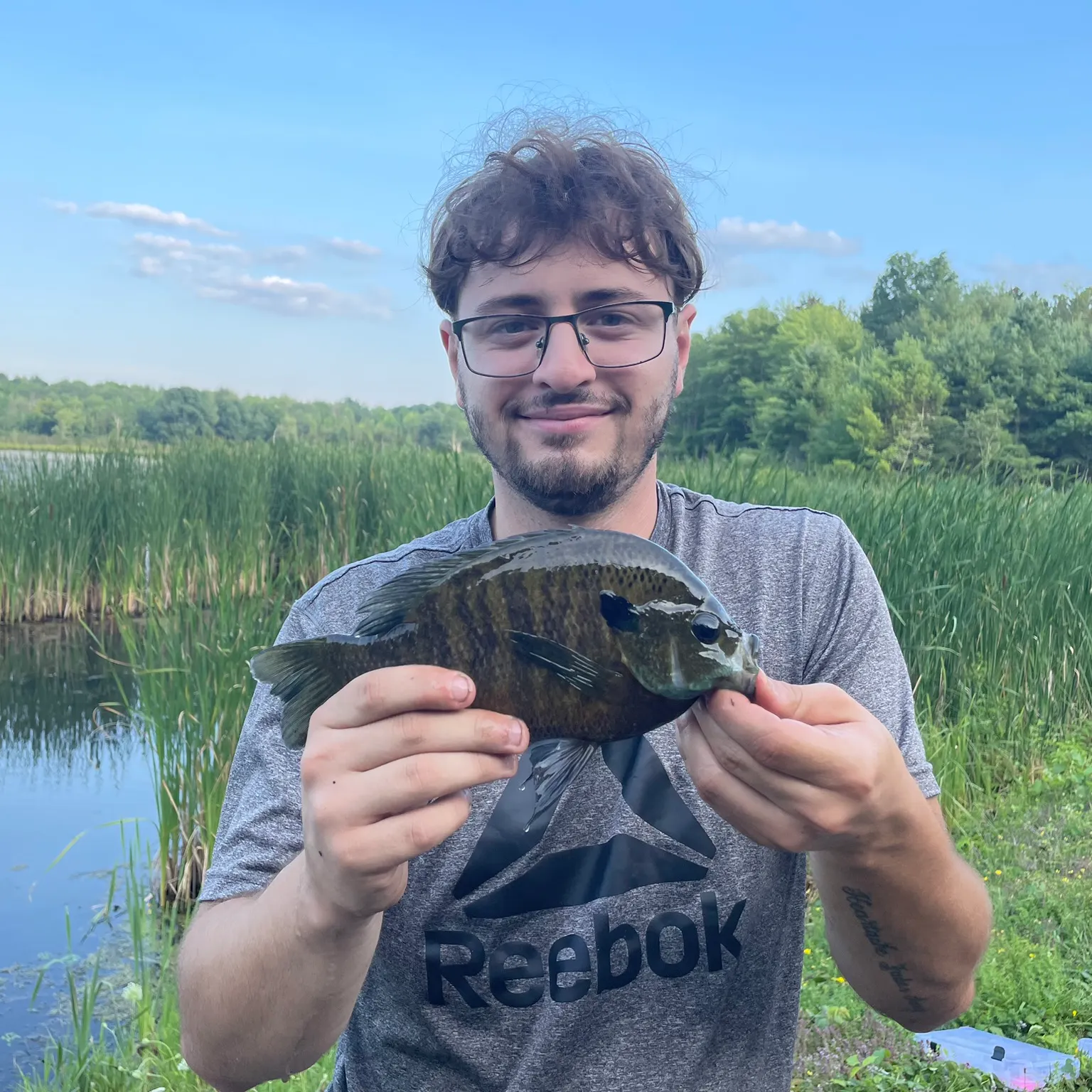 The most recent Bluegill catches on Fishbrain