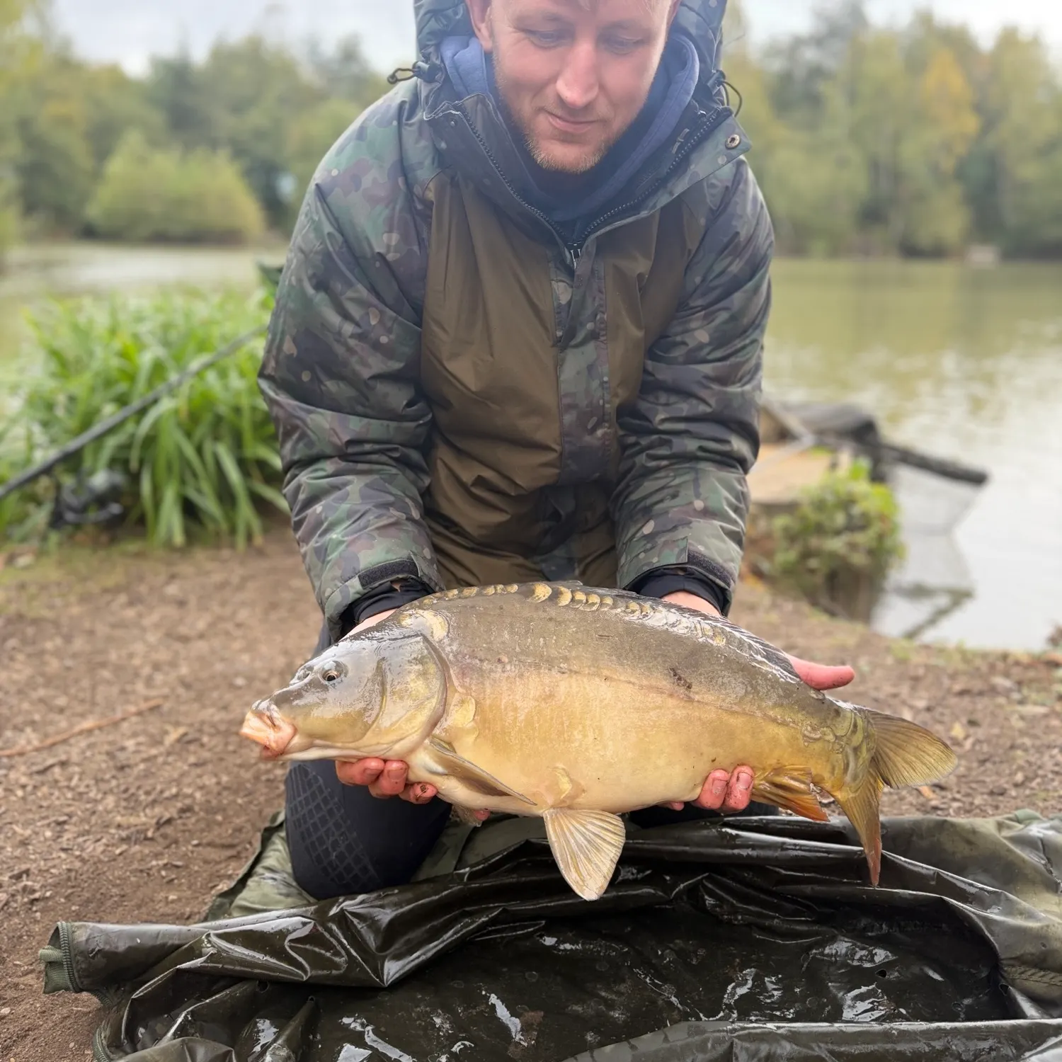 Mirror carp caught on Fishbrain