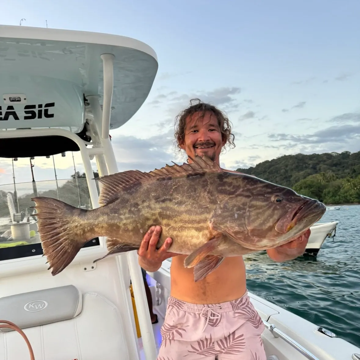 The most recent Broomtail grouper catches on Fishbrain