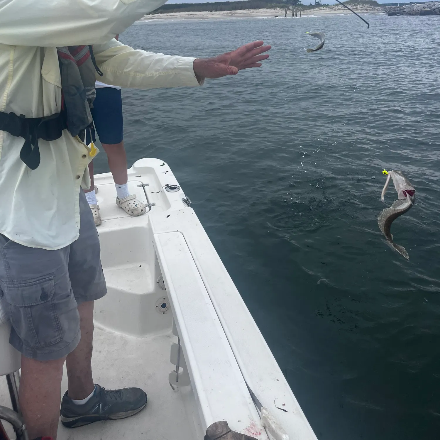 Summer flounder caught on Fishbrain