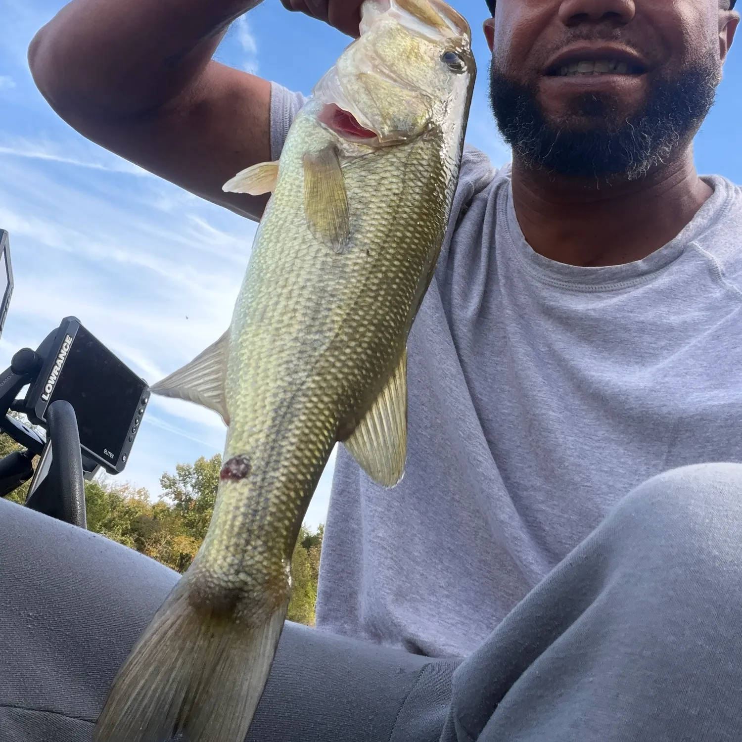 Largemouth bass caught on Fishbrain
