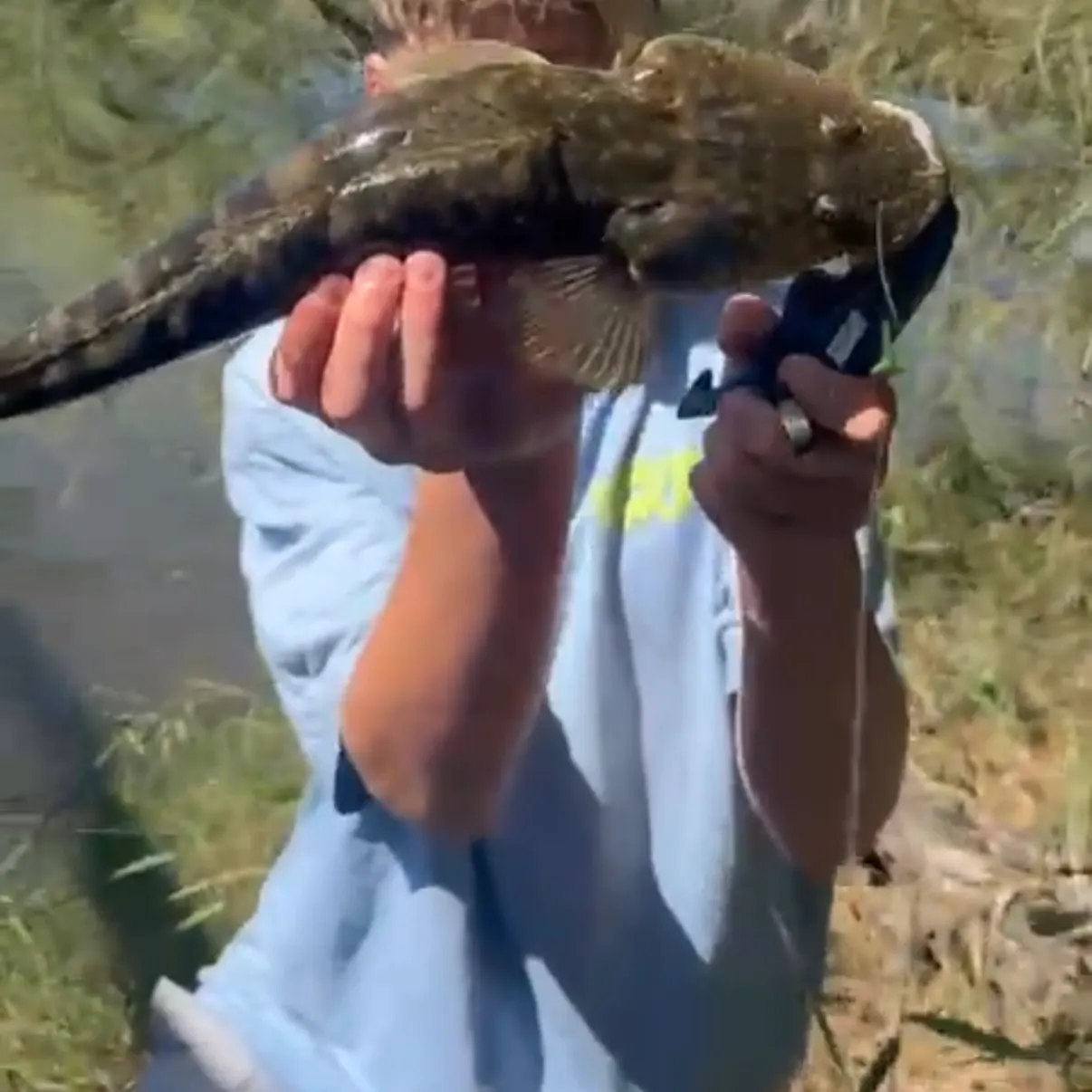 Dusky flathead caught on Fishbrain