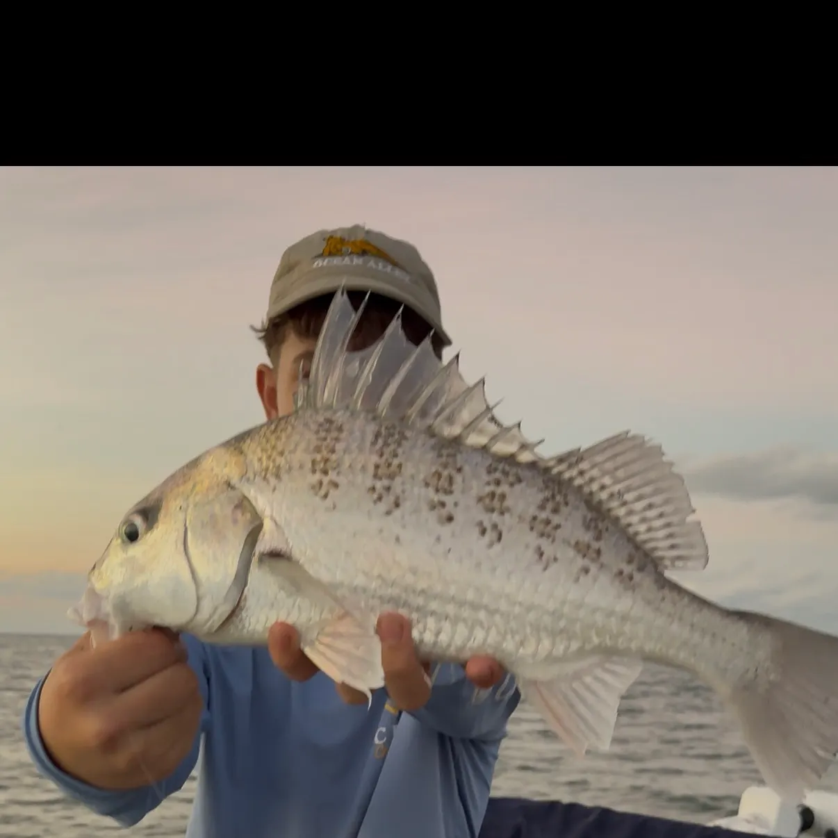 Javelin grunter caught on Fishbrain