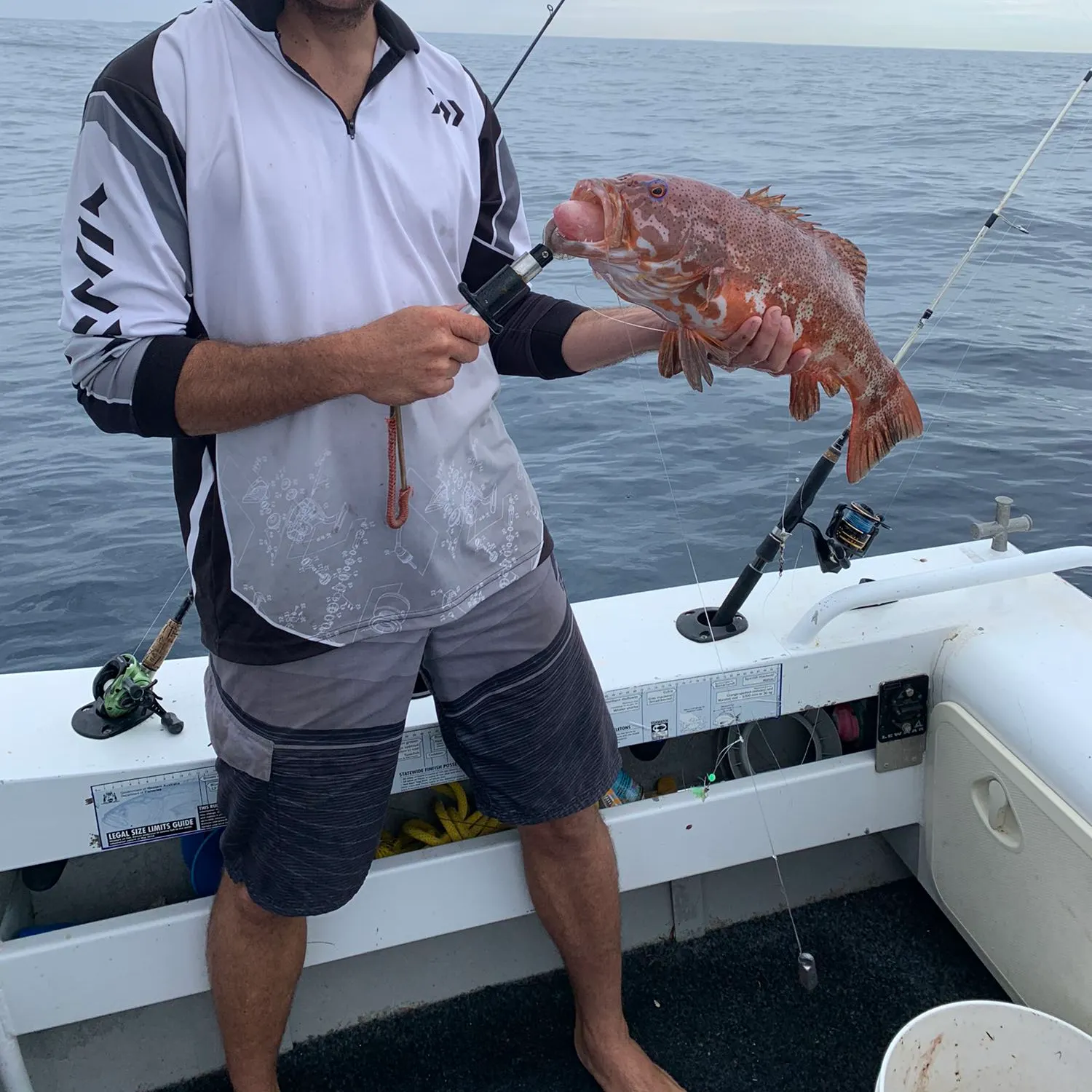 Fish caught on Fishbrain