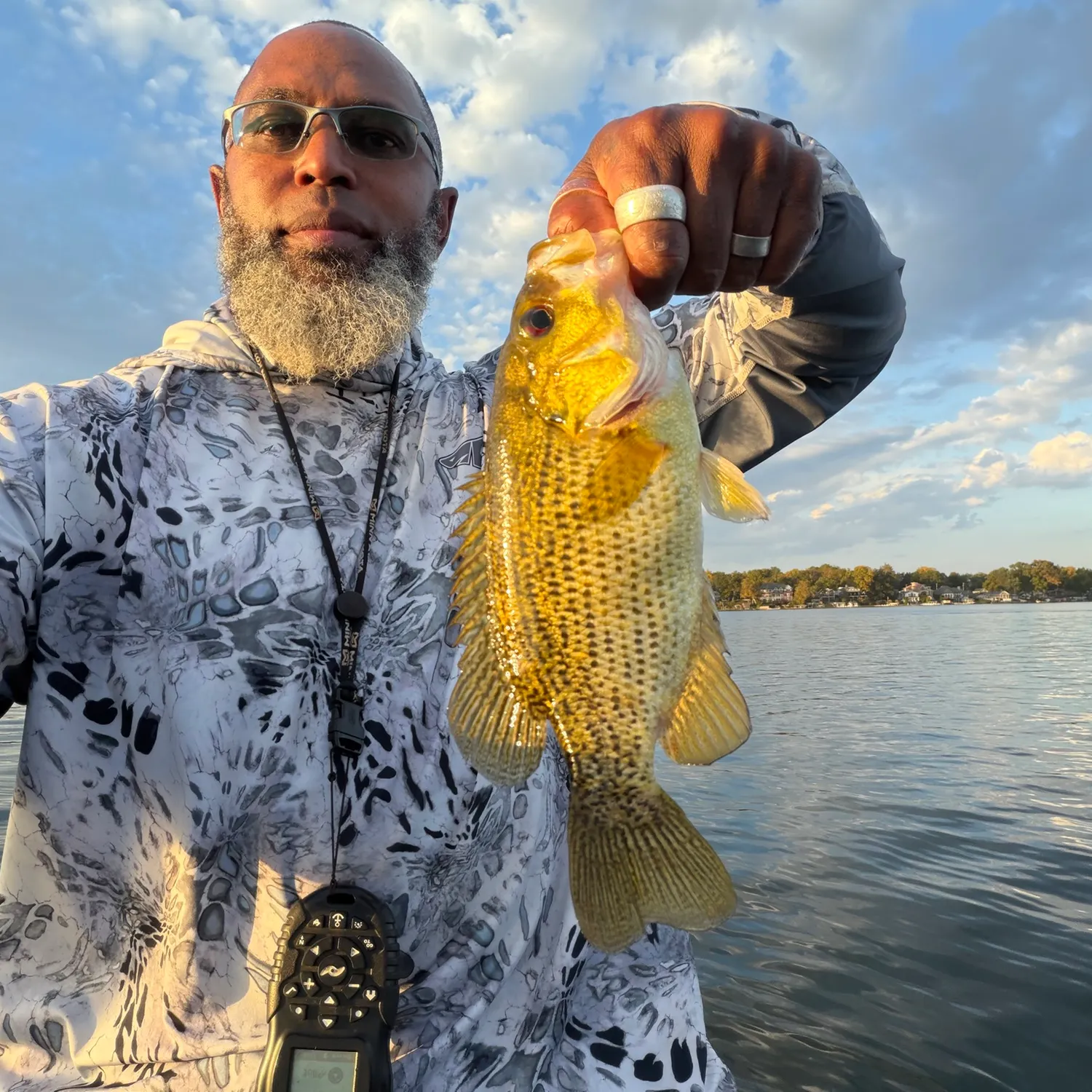 Rock bass caught on Fishbrain