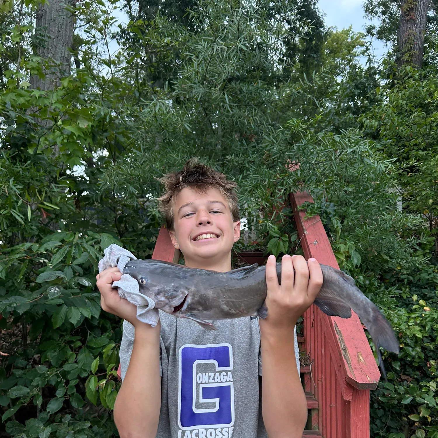 Blue catfish caught on Fishbrain