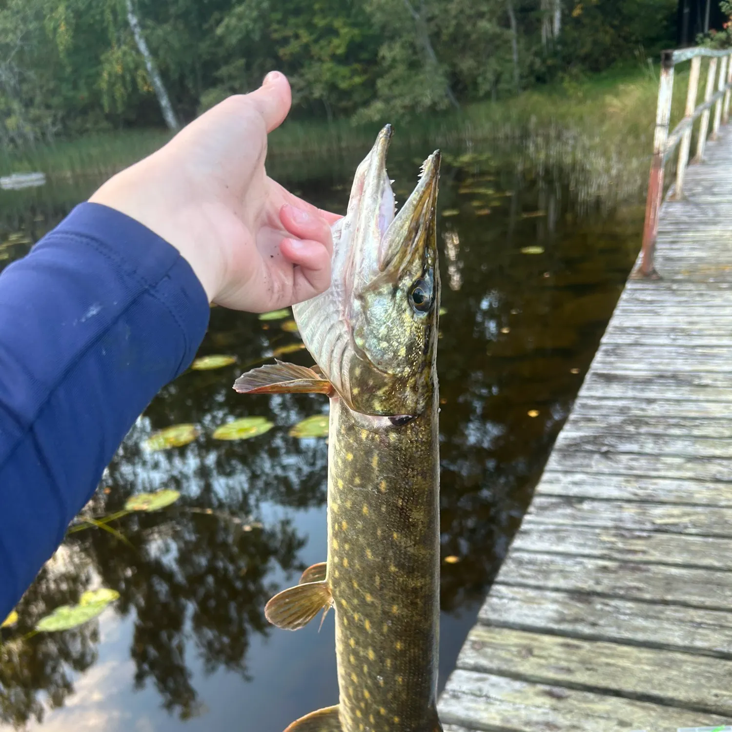 catch