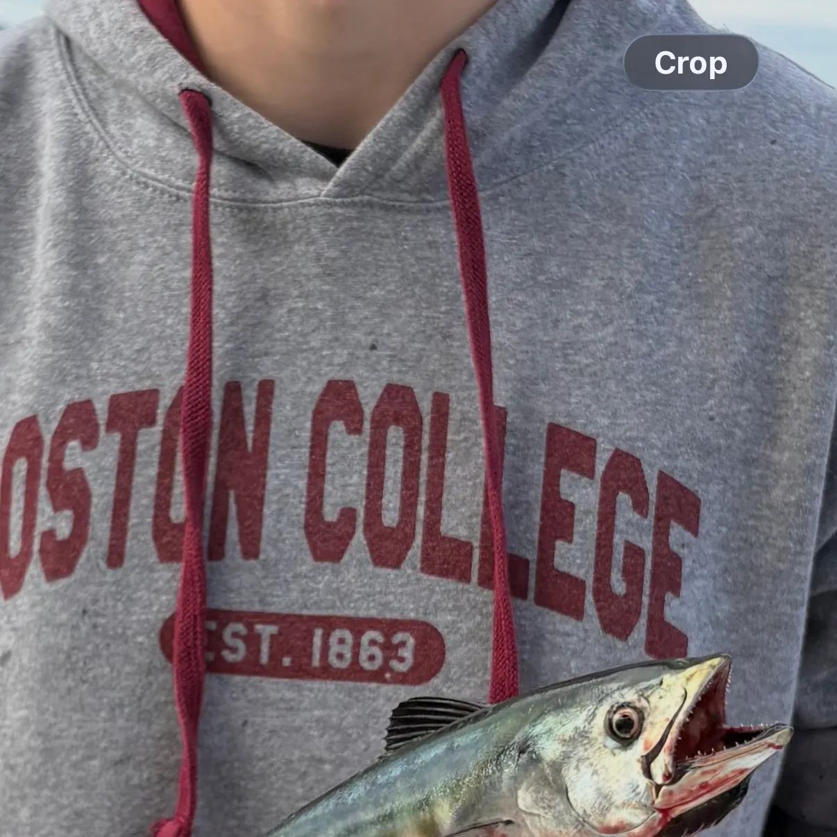 The most recent Atlantic bonito catches on Fishbrain