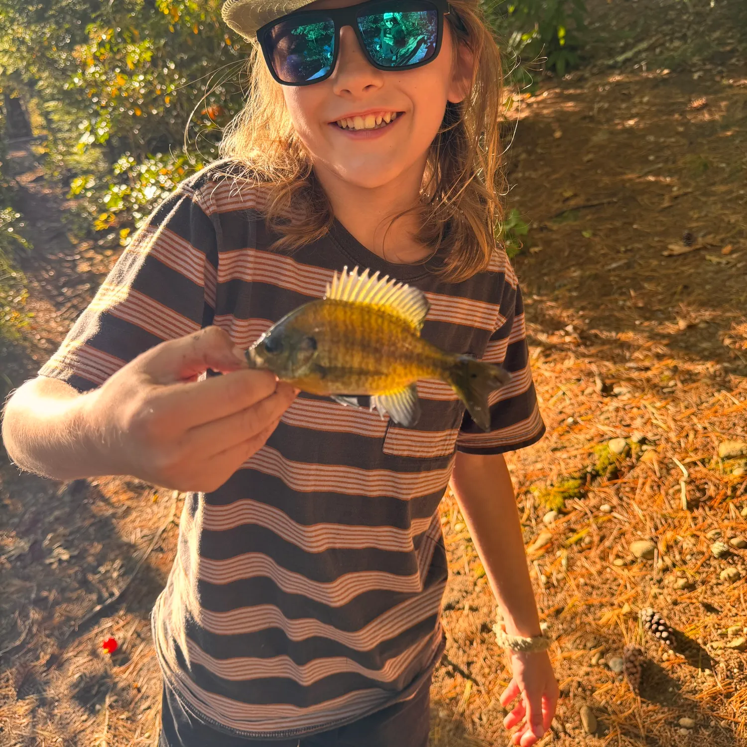 Bluegill caught on Fishbrain