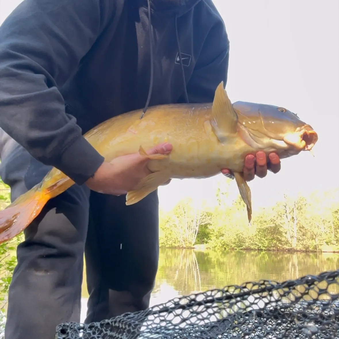 The most recent Leather carp catches on Fishbrain