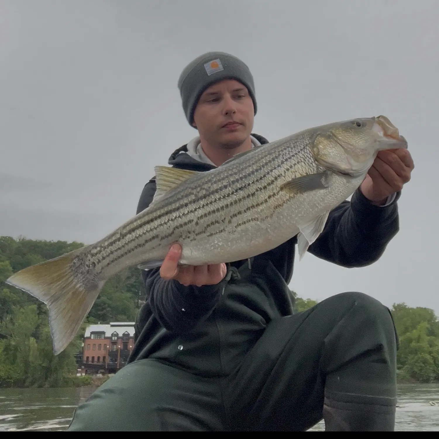 angler catch