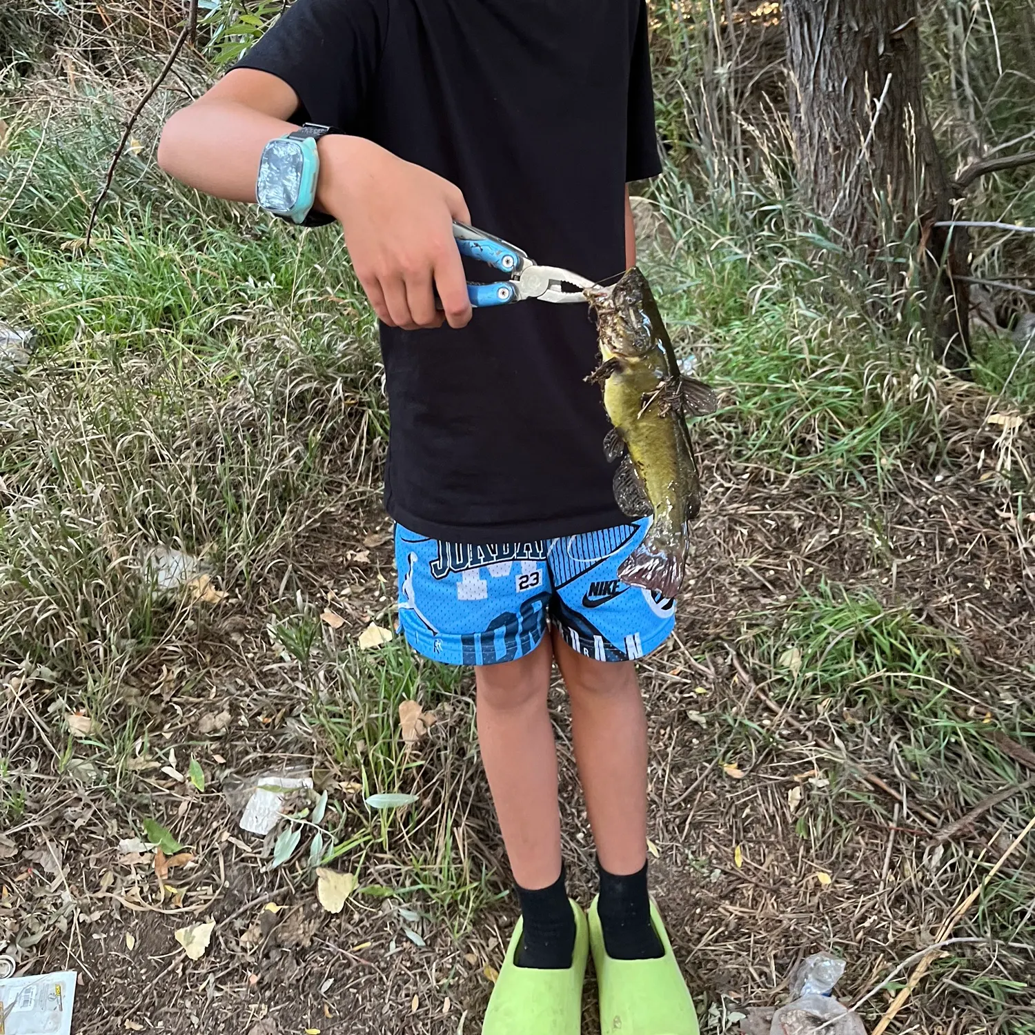 Fish caught on Fishbrain