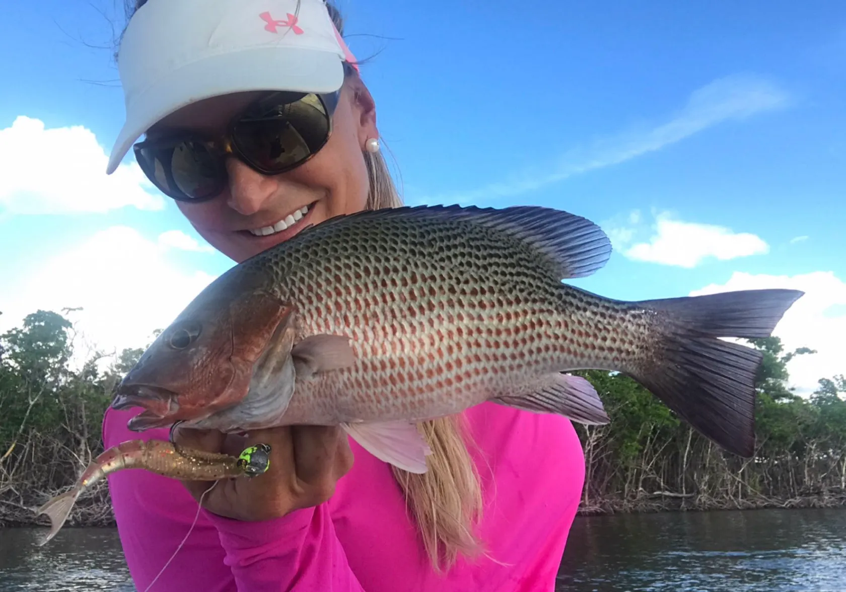 Mangrove snapper