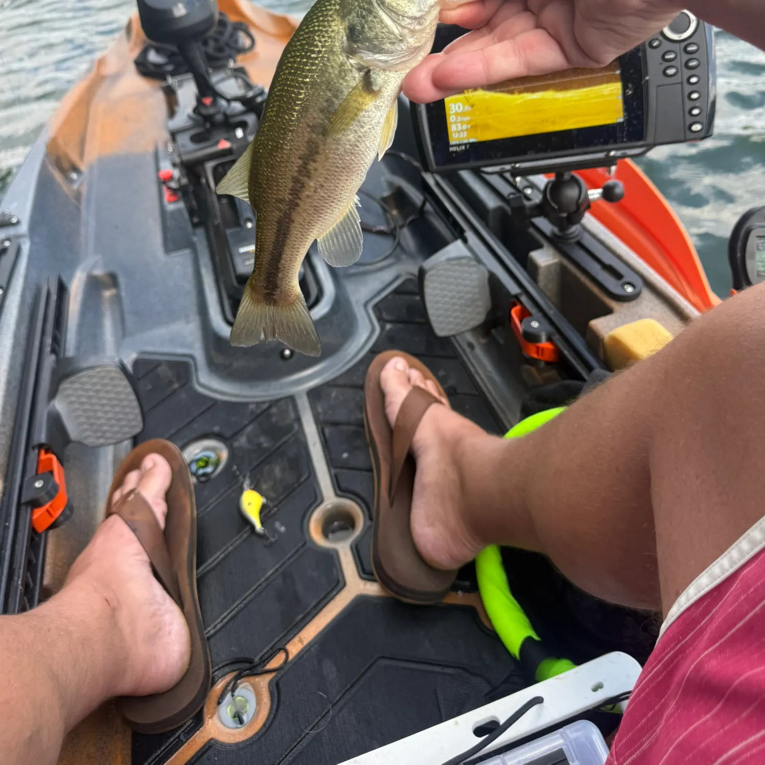 Largemouth bass caught on Fishbrain