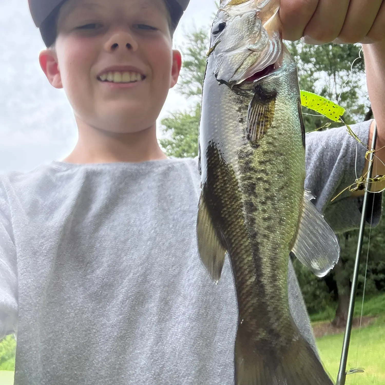 Spotted bass caught on Fishbrain
