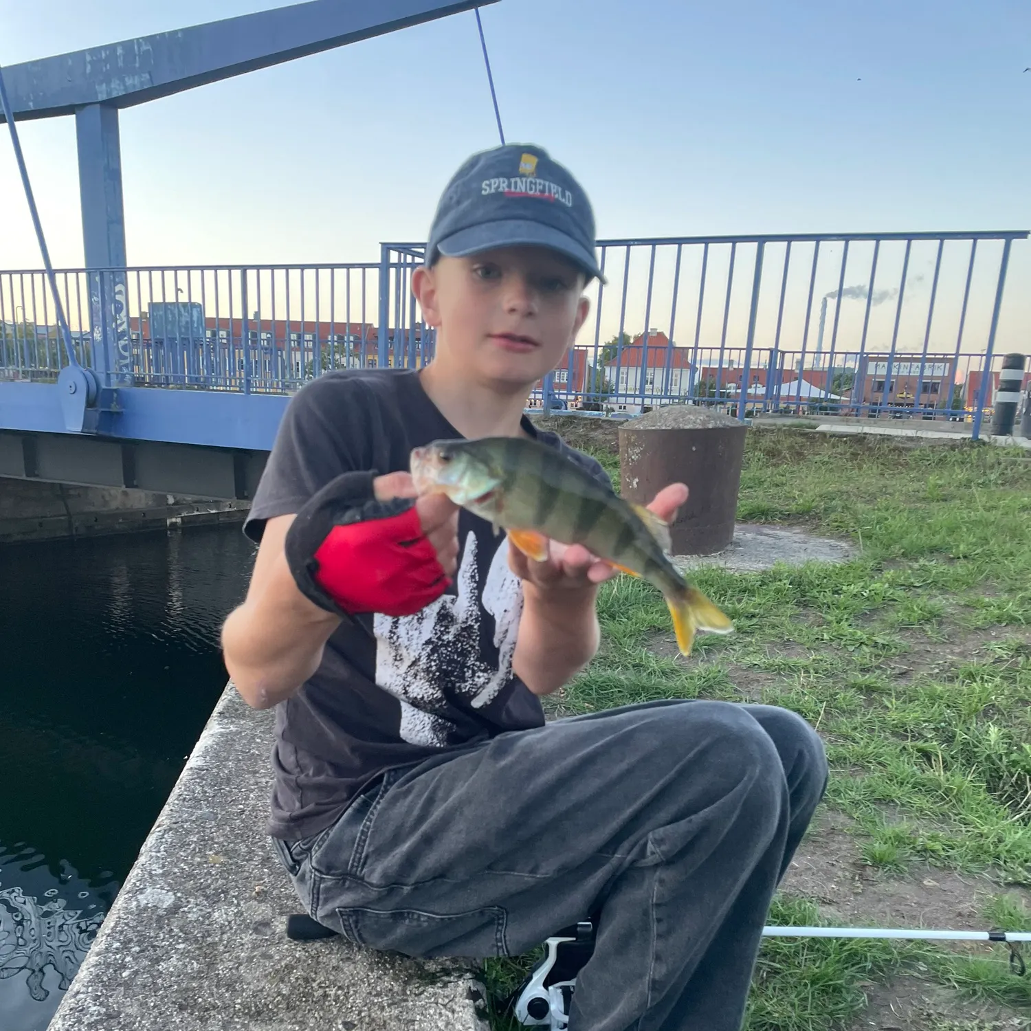 European perch caught on Fishbrain