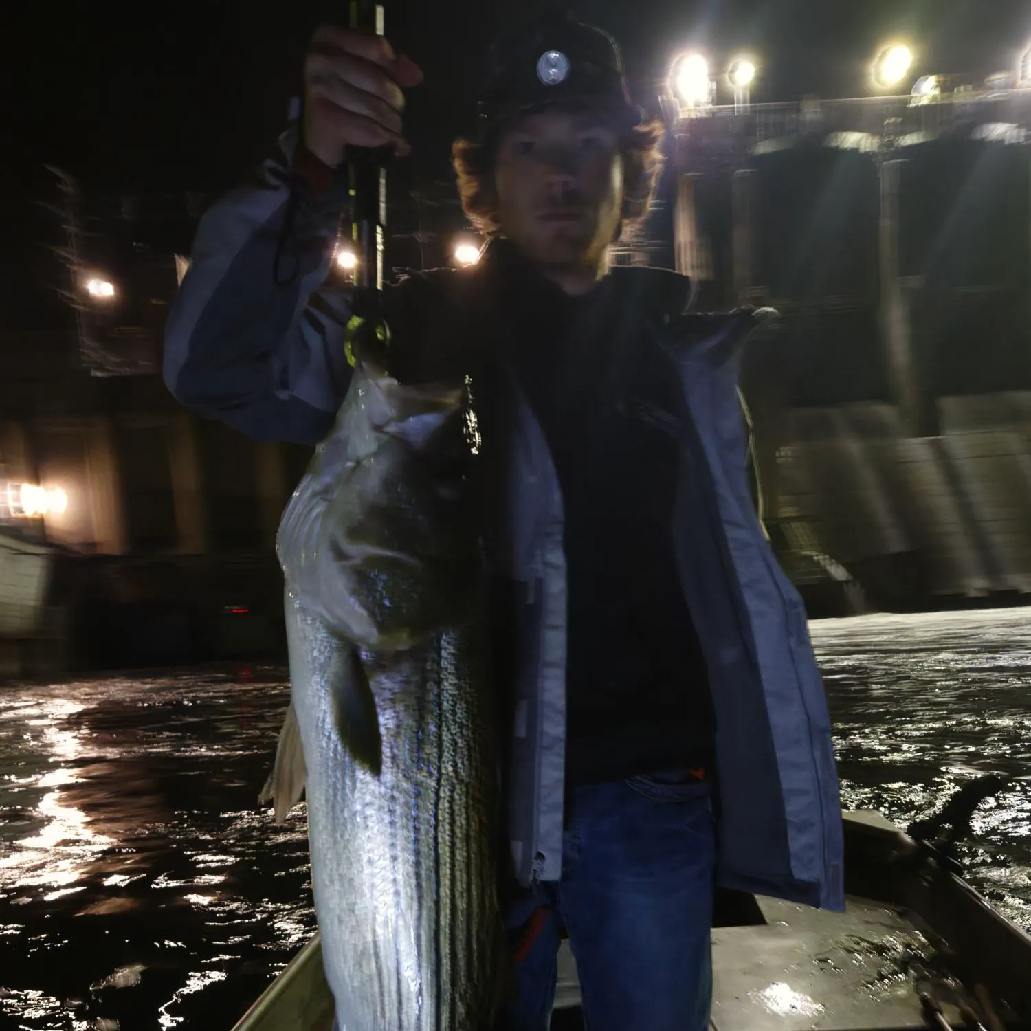 Striped bass caught on Fishbrain