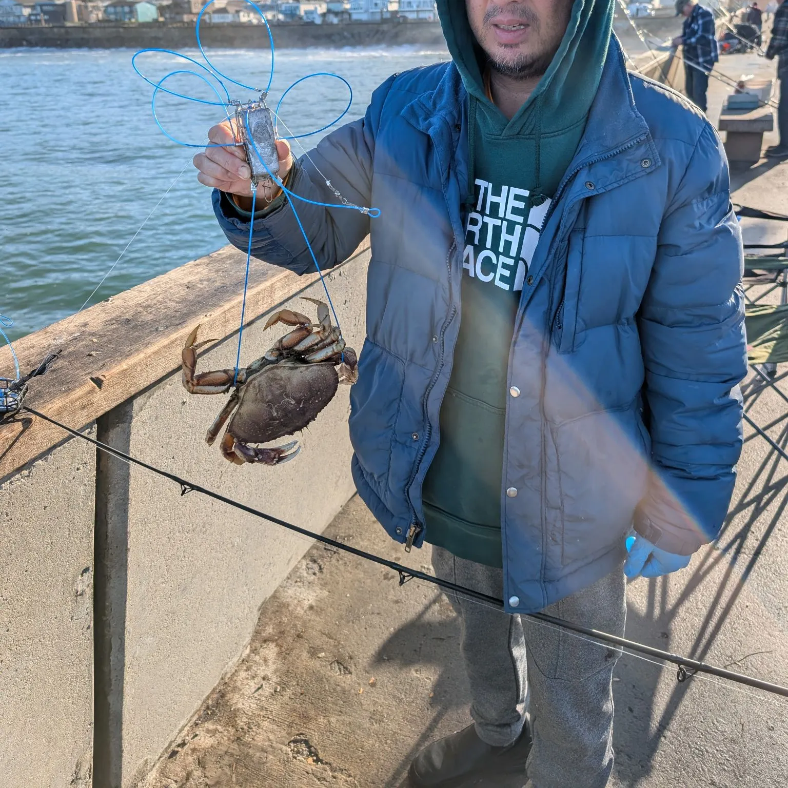 The most recent Dungeness crab catches on Fishbrain