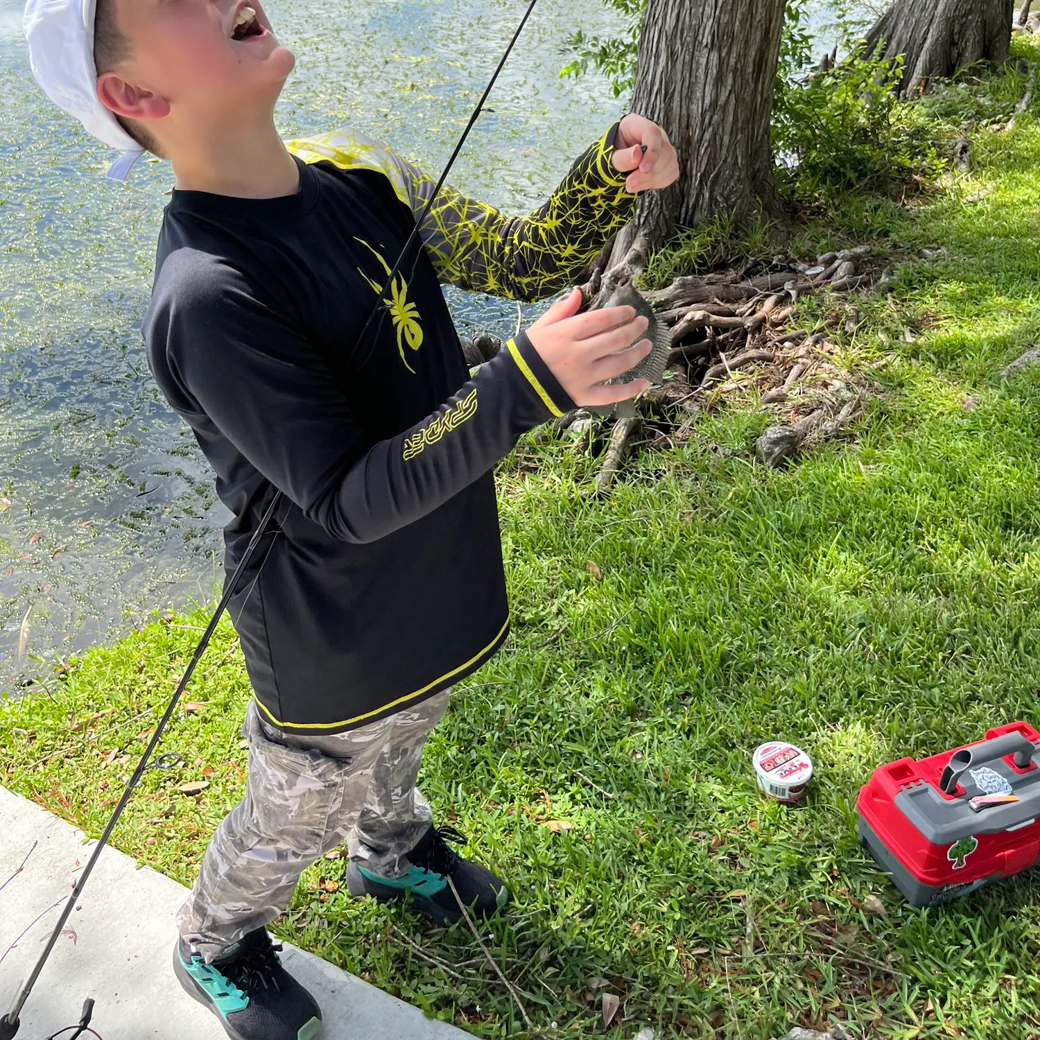 The most recent Suckermouth catfish catches on Fishbrain