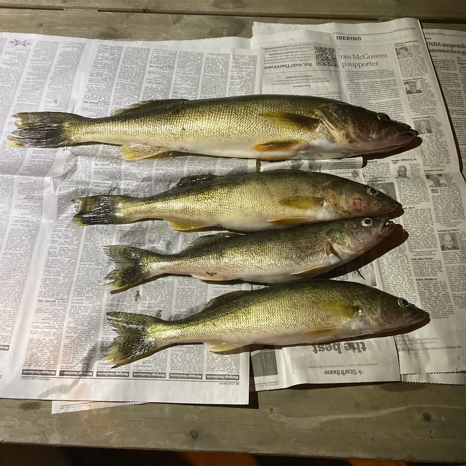 recently logged catches