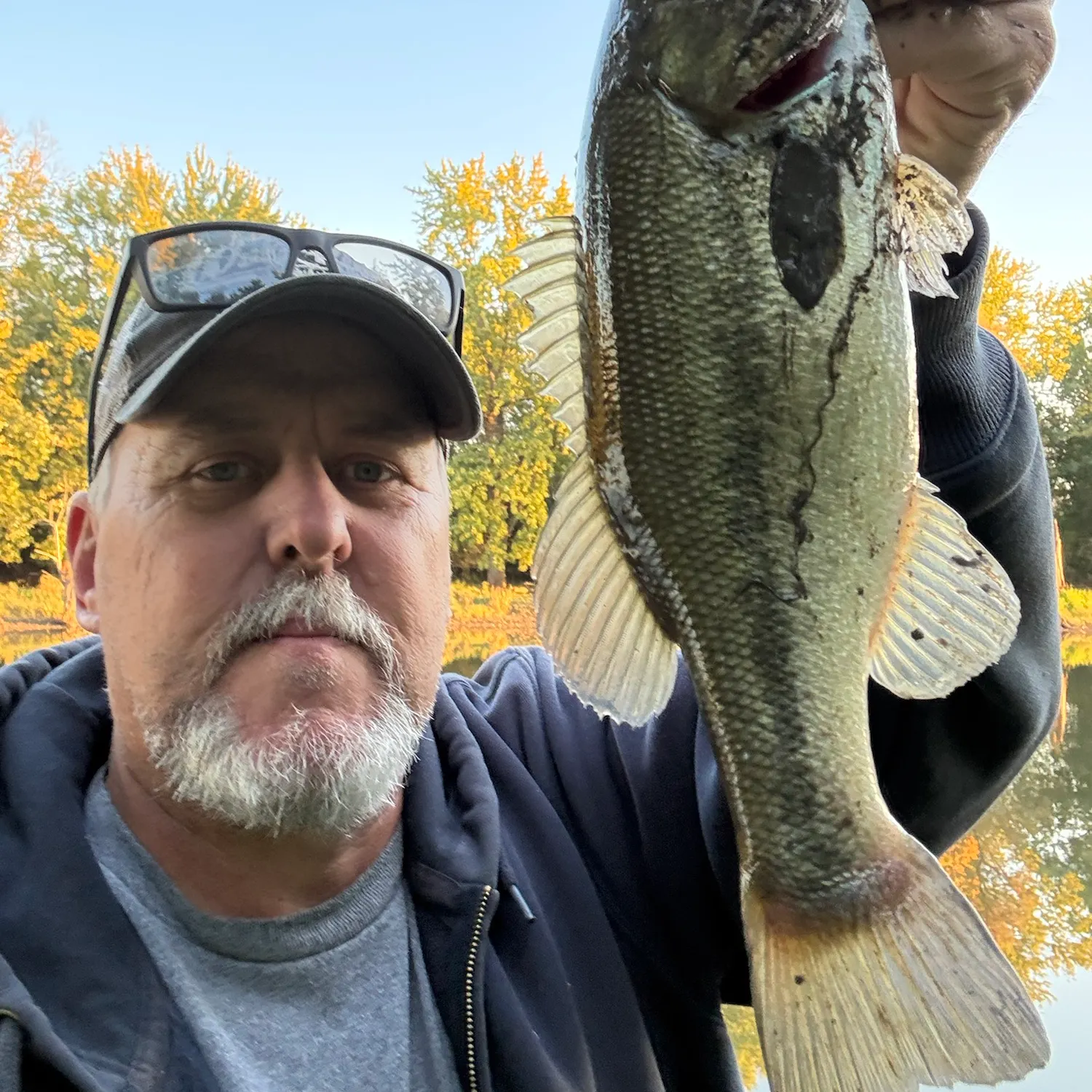 Largemouth bass caught on Fishbrain