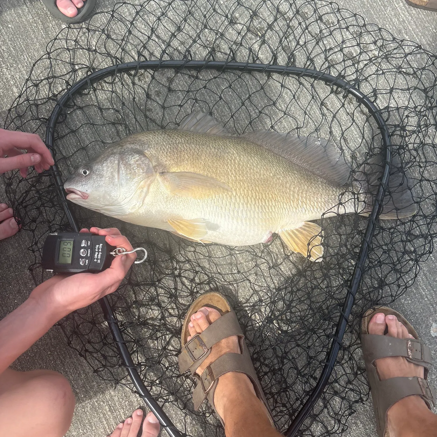 catch