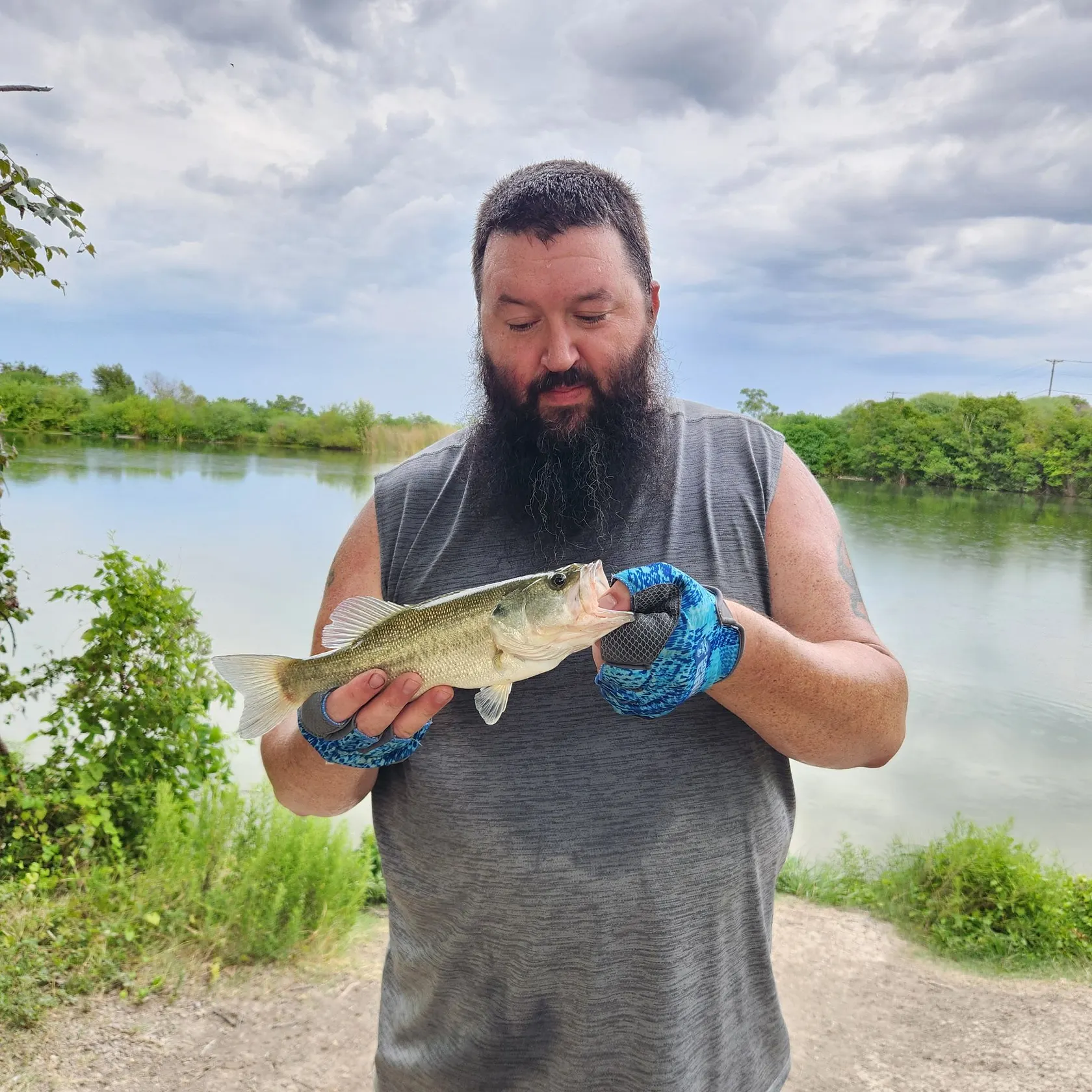 Largemouth bass caught on Fishbrain
