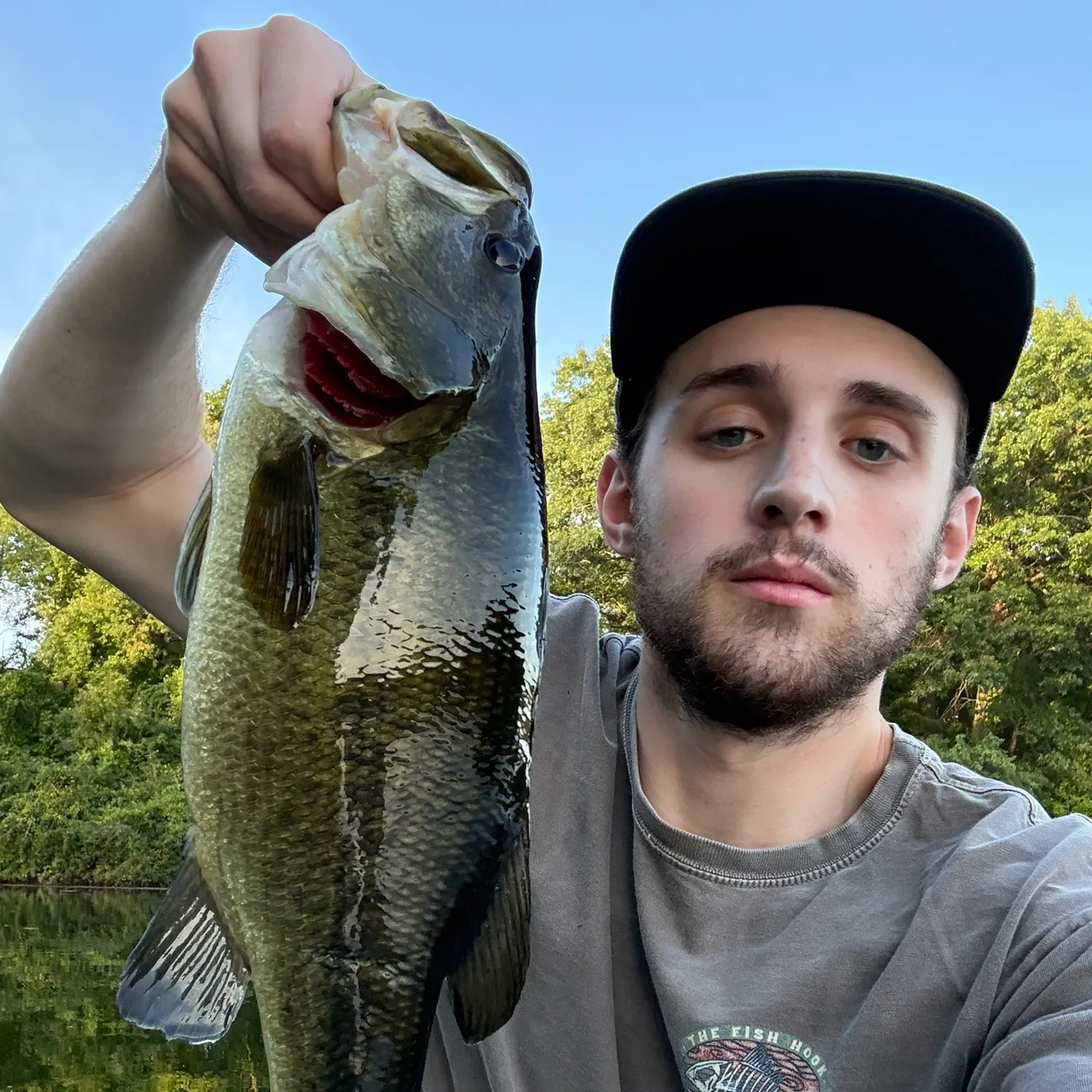 Largemouth bass caught on Fishbrain