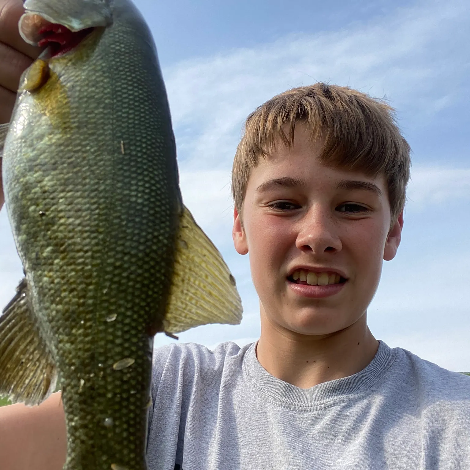 The most recent Smallmouth bass catches on Fishbrain
