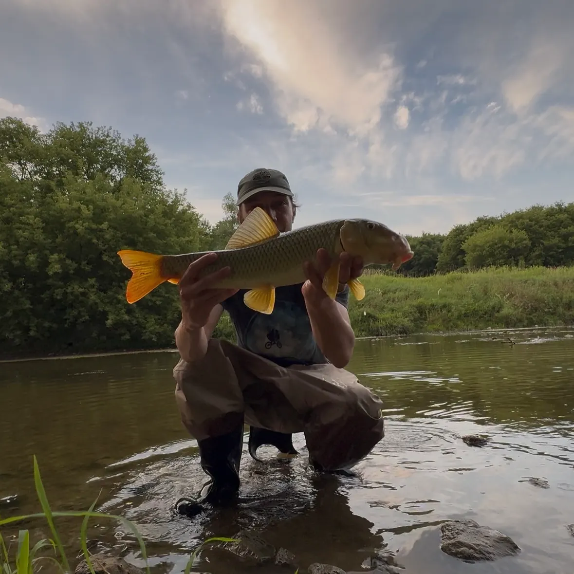 Greater redhorse caught on Fishbrain