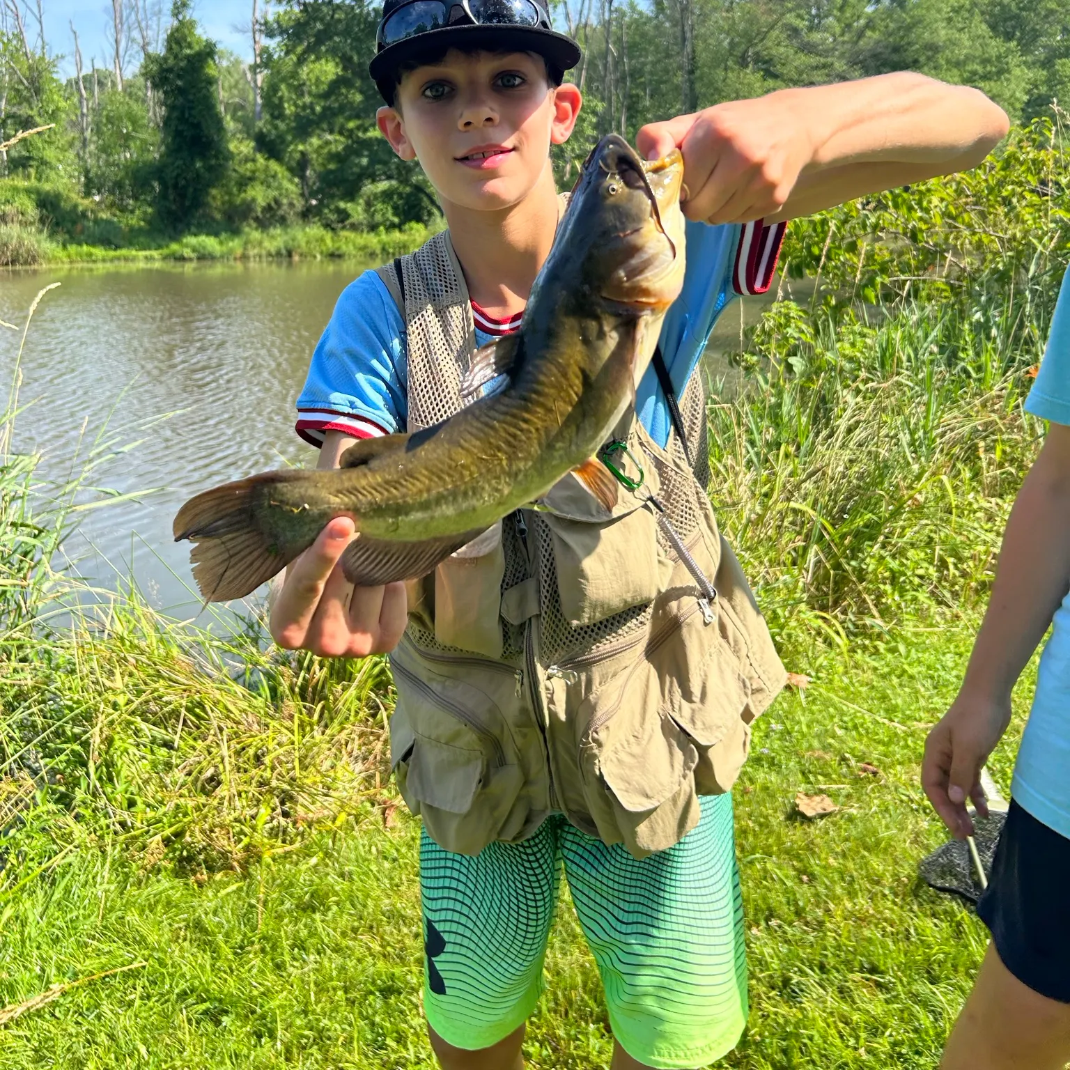 Yellow bullhead caught on Fishbrain