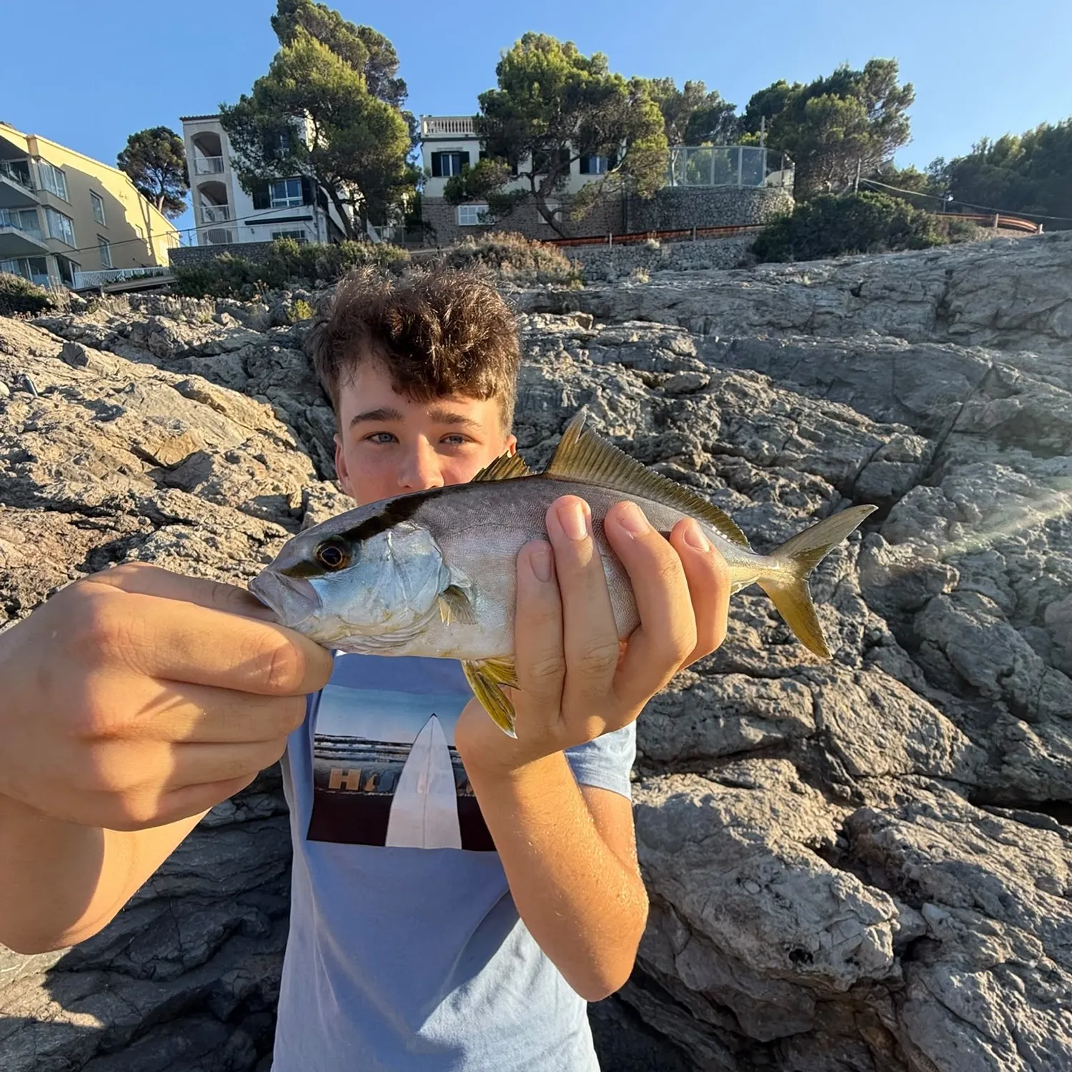 Greater amberjack caught on Fishbrain