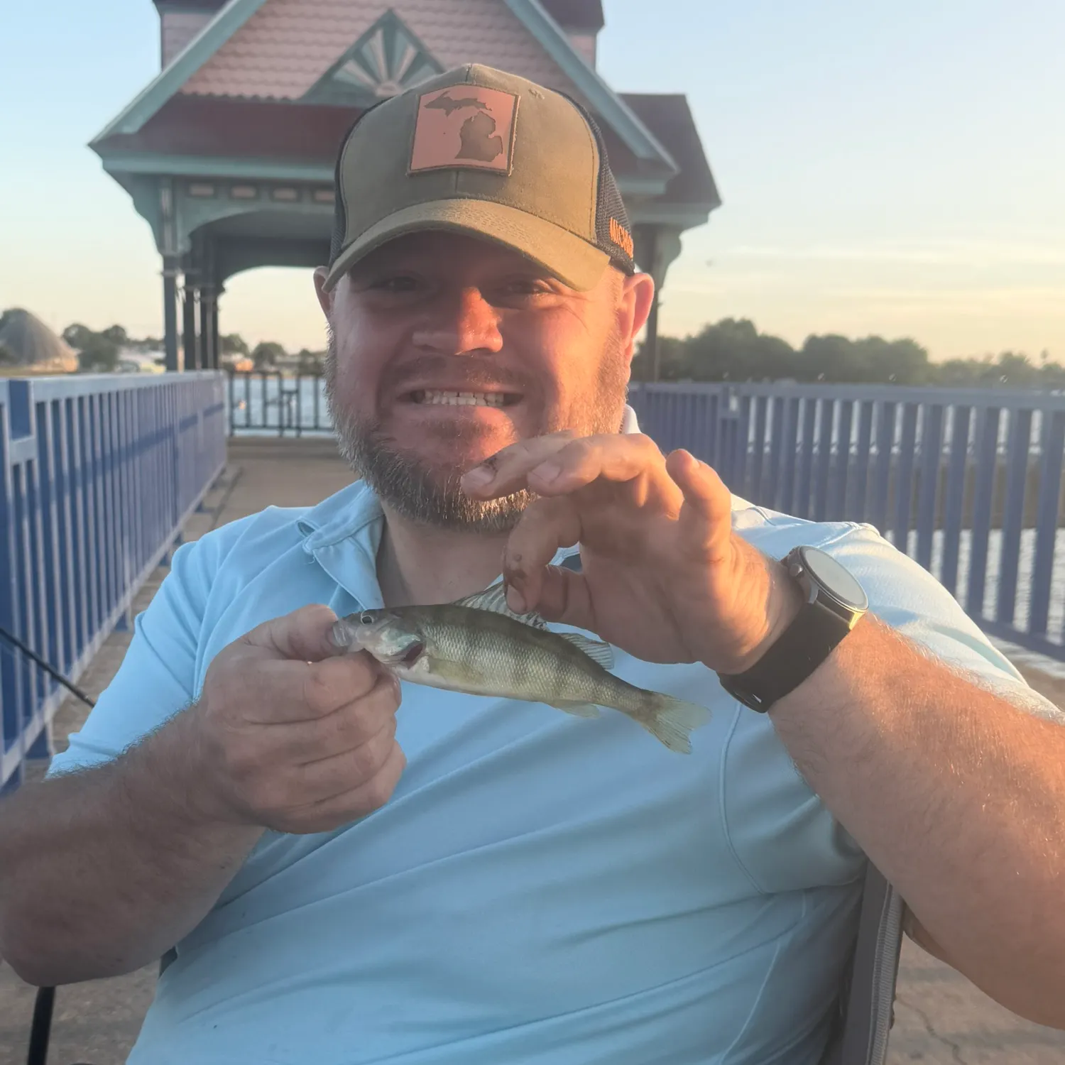Yellow perch caught on Fishbrain