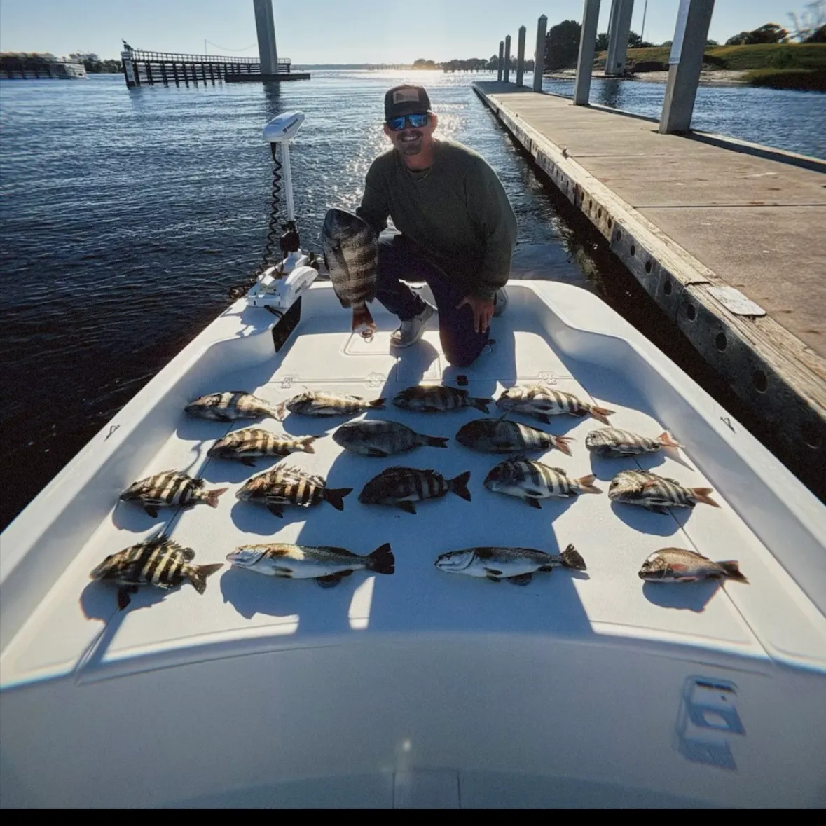 The most recent Sheepshead catches on Fishbrain