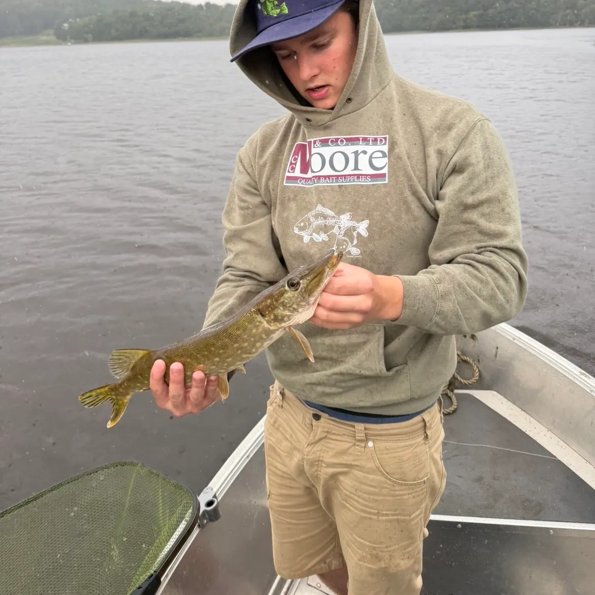 Northern pike caught on Fishbrain