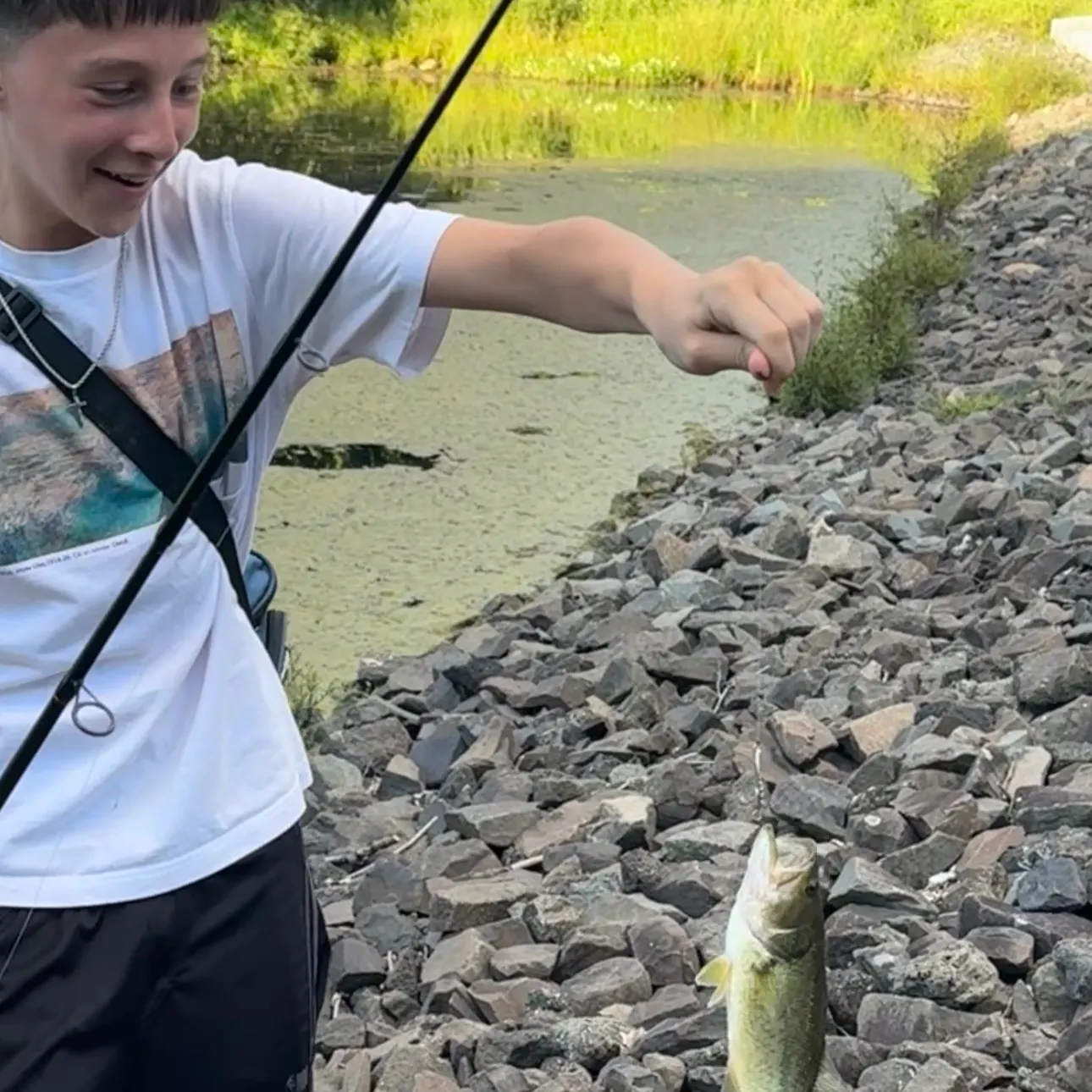 Largemouth bass caught on Fishbrain