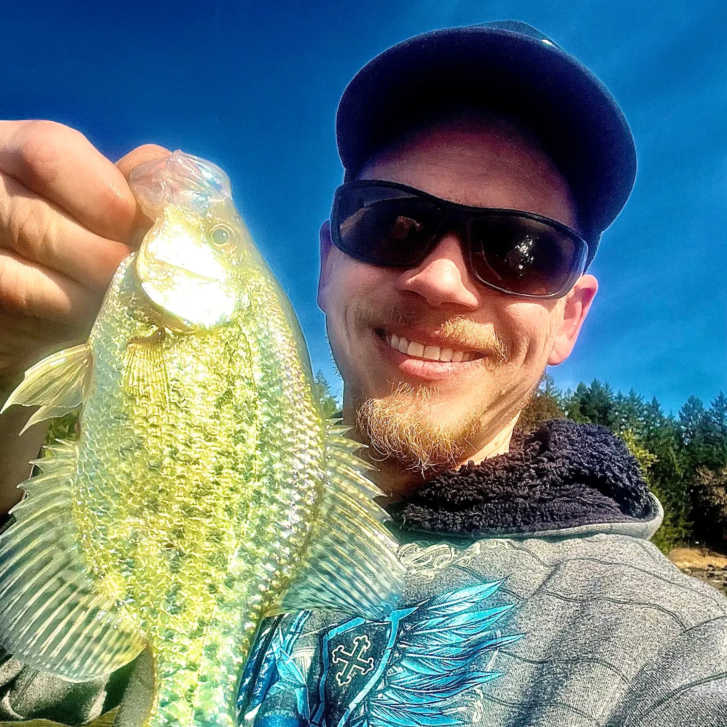 Black crappie caught on Fishbrain