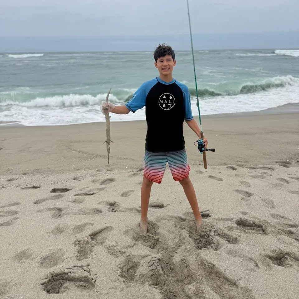 The most recent Agujon needlefish catches on Fishbrain