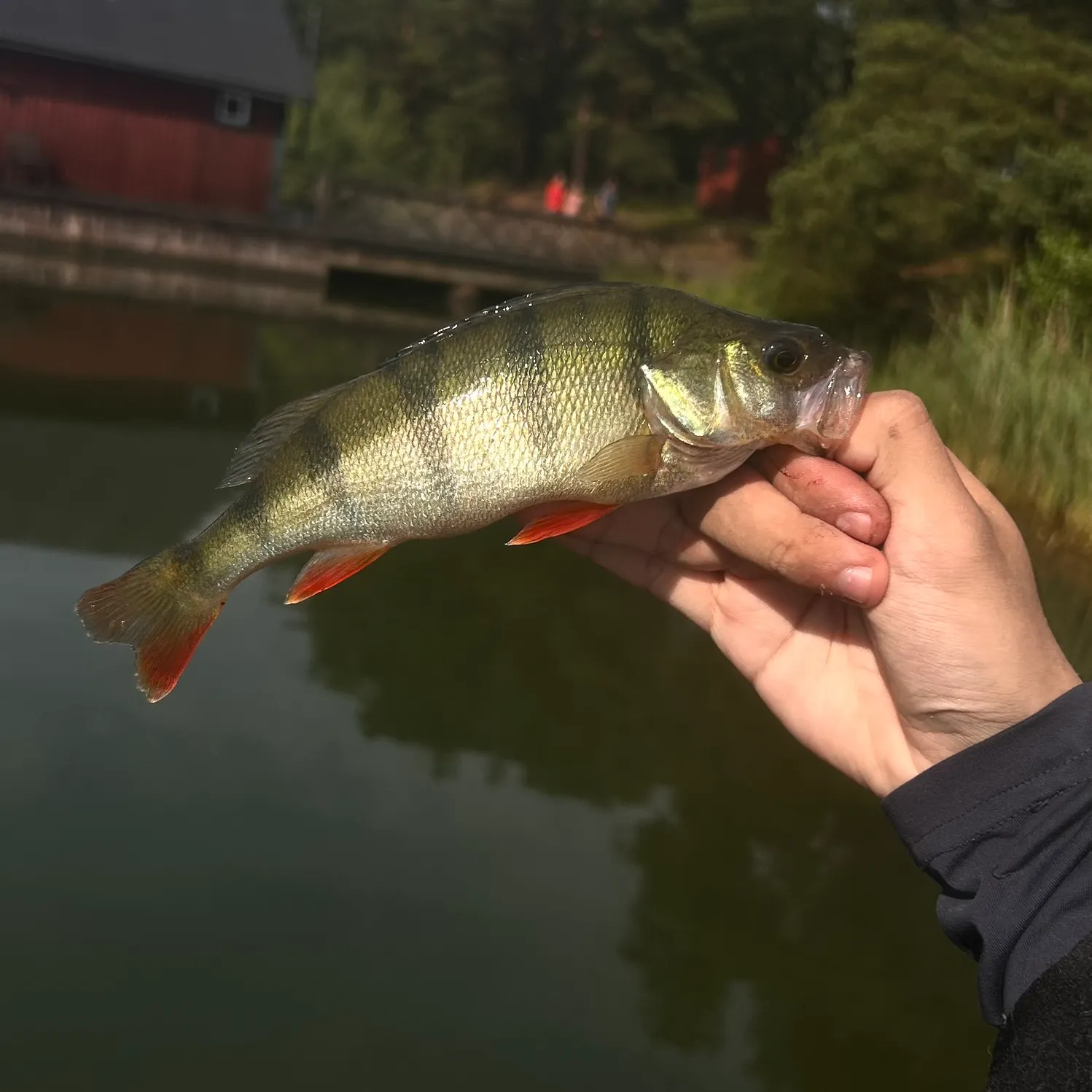 catch