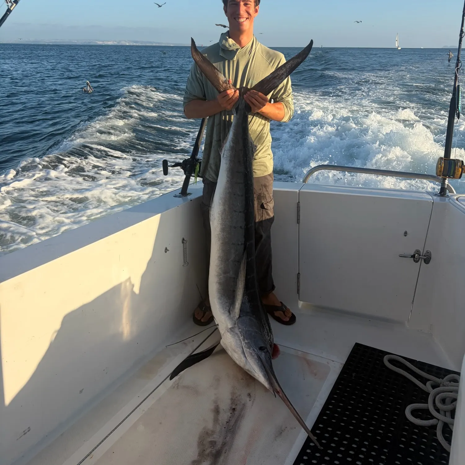 Striped marlin caught on Fishbrain