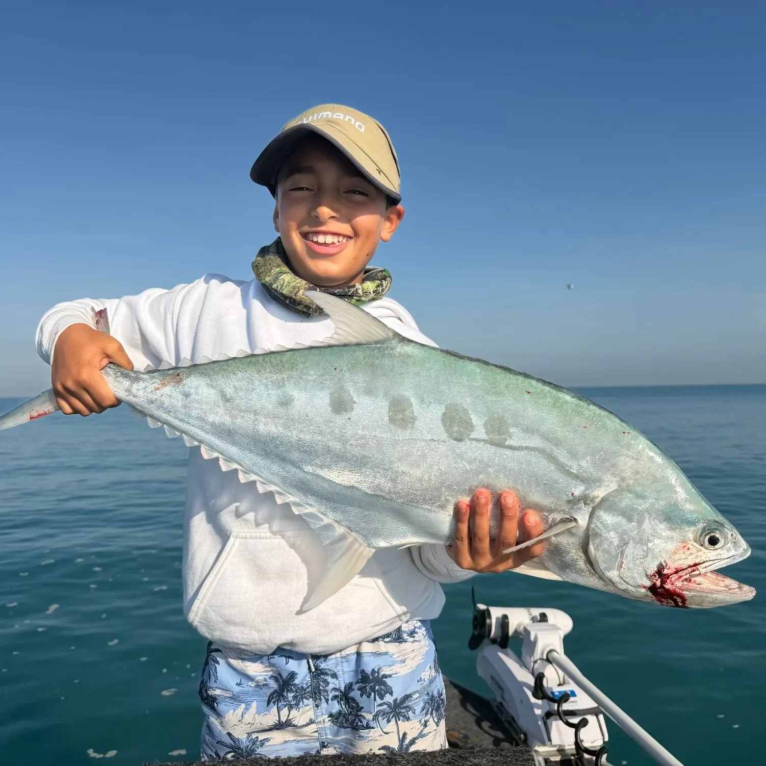 The most recent Talang queenfish catches on Fishbrain