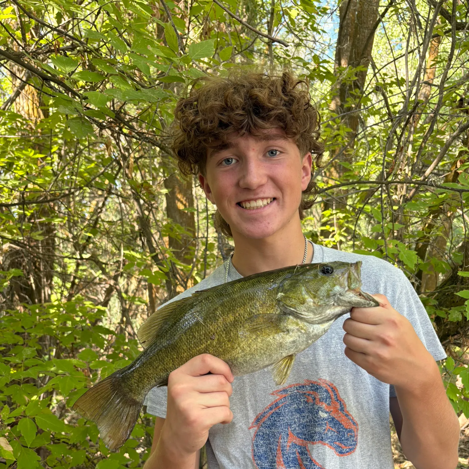 Smallmouth bass caught on Fishbrain